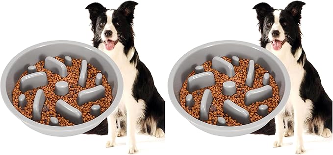 JASGOOD Largr Dog Slow Feeder Bowl - Reduce Slip Puzzle Bowl for Elevated Diners - Gray, Fit Opening 8.9"-9.25" (Pack of 2)