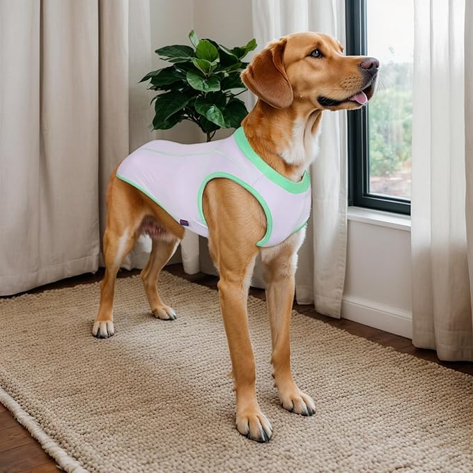 2 Pack Dog Summer Clothes Color Blocking Dog Shirts for Medium/Large Dogs Stretchable Doggy Cooling Vest Breathable Sun Protection Shirt Fashion & Bright Color for Boys Girls