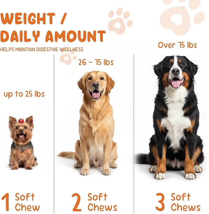 Omega 3 Fish Oil 200 Soft Chews for Dogs with Algae Omega-3, Salmon Oil, Kelp & Biotin | Skin & Coat Support, Comfort for Itchy Skin & Immune Support