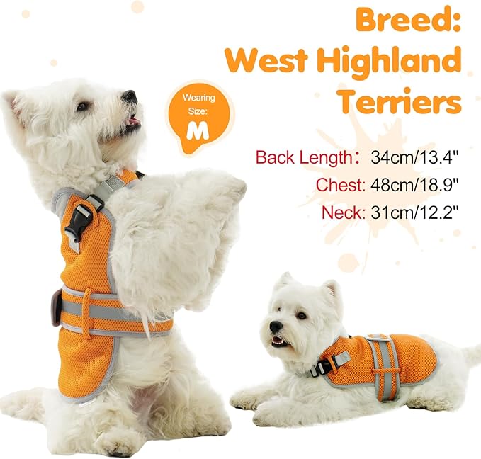 Cooling Vest for Small Dog,Lightweight Cooling Dog Jacket,Breathable Mesh Dogs Shirt Harness Vest with Adjustable Straps Reflective Stripe for Hot Weather with D-ring for Beach,Hiking,Walking,S