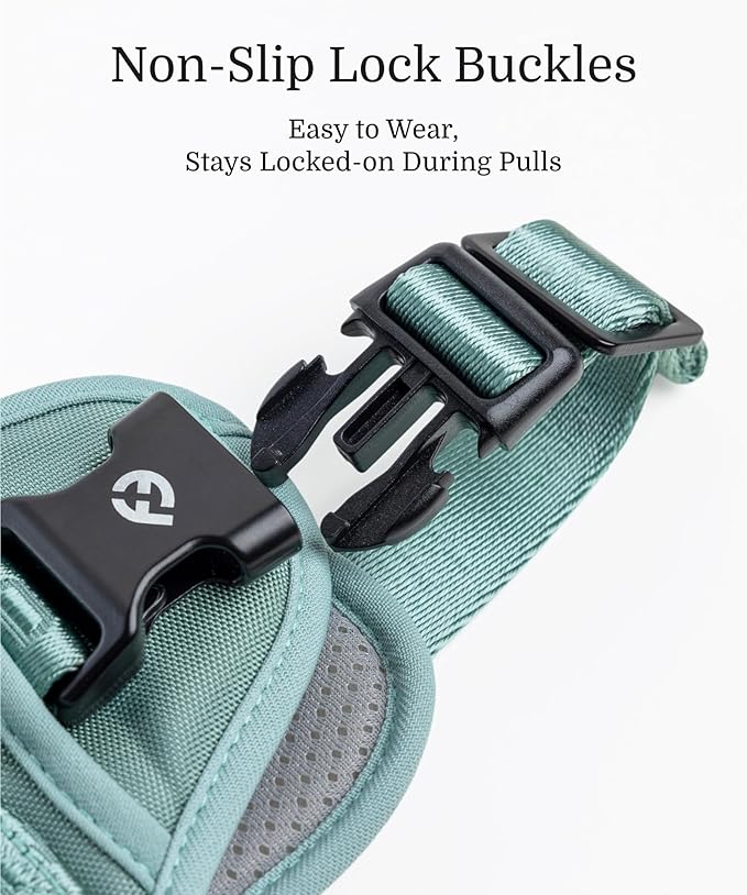 2025 New Edition, Fei & Eve Classic Dog Harness - Quick-Release Buckles | 3-Point No-Pull Control | Heavy-Duty 900D Nylon | Dual Safety Handles | Breathable Mesh | Adjustable Fit | X-Large,Green