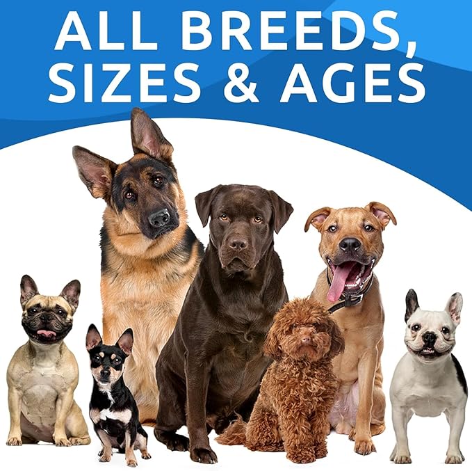 BARK&SPARK Dog Allergy Relief Soft Chews for Skin Health & Seasonal Allergies - Anti-Itch Supplement w/Omega-3, Quercetin & Bromelain Immune Treats for Dry Skin & Hot Spots - Bacon - 120ct