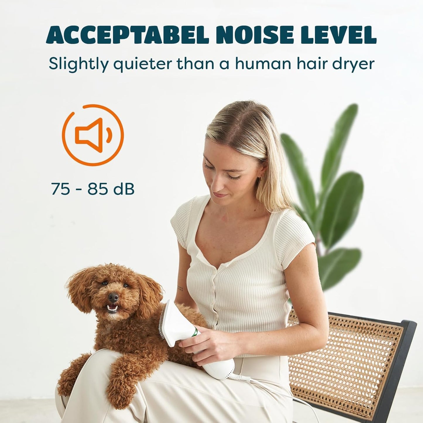 2-in-1 Dog Hair Dryer with Brush — 300W Dry & Groom in One, Adjustable Heat, Overheat Protection