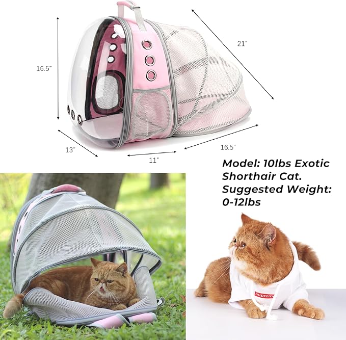 Expandable Bubble Cat Carrier Backpack — Airline Approved, Ventilated, Up to 14lbs (Pink)
