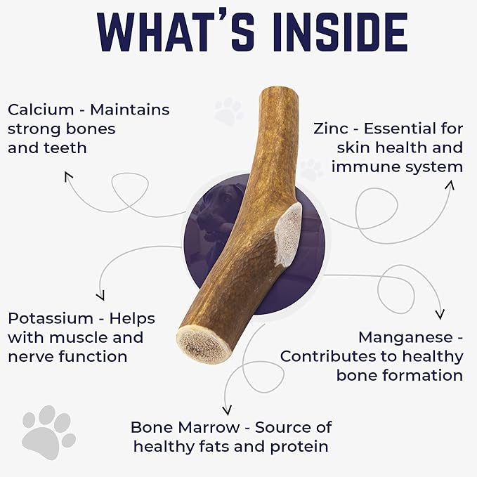 Devil Dog Pet Co - Elk Antler for Dogs Small - Long Lasting Dog Chew for Aggressive Chewers, Toy & Small Breeds - Naturally Shed Grade A Rocky Mountain Elk, Anxiety & Boredom Relief (Up to 20 lbs)