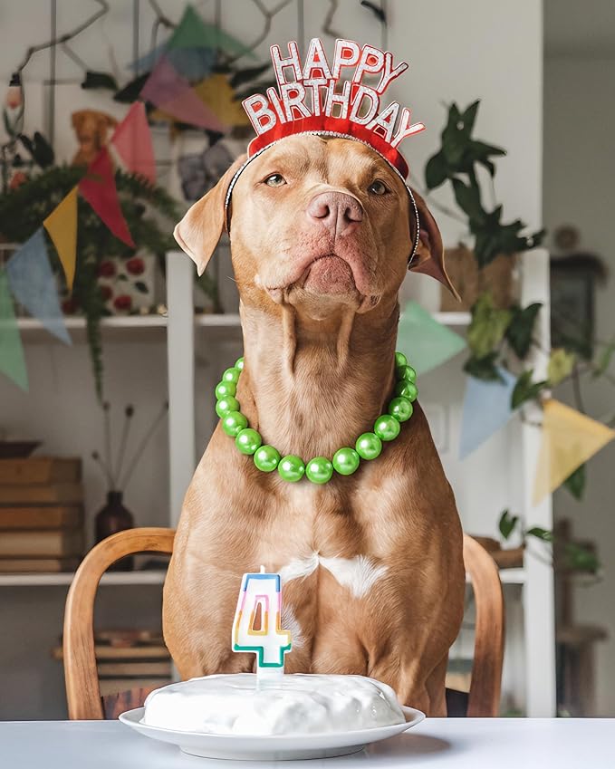 KUDES Chunky Pearl Dog Necklace (Beads 20mm),Elegant Classic Super Big Pearl Collar Necklace Accessories for Medium Large Dogs Occasions and Gatherings (Light Green, XL(Neck Girth 18.5''-20''))