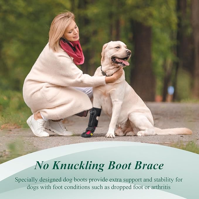 Drop Foot Brace with Reel(No Knuckling Boot Brace) for Dog - Corrective Dog Shoes to Safely Lift Toes for Foot Issues, Arthritis, and improving Walking gait in Dogs(L)
