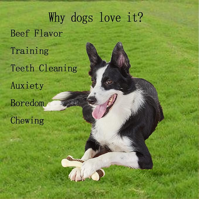 Dog Chew Toys for Aggressive Chewers Large Breed, 3 Pack Real Beef Flavor,Indestructible Dog Teething Chew Toys for Large/Medium/Small Puppies,Tough Pet Toy with Durable Nylon
