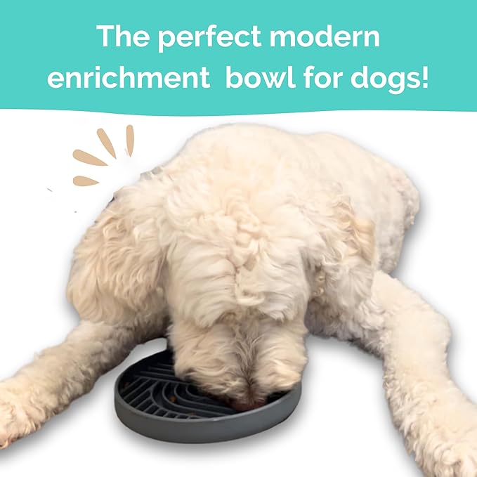 Gray Silicone Slow Feeder Bowl for Dogs, Cats and Pets by Stella and Bear Co.