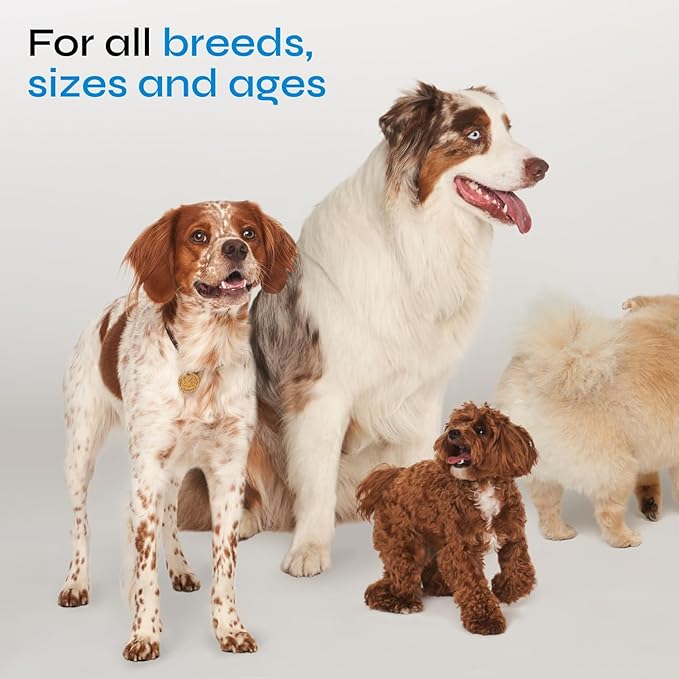 Chews for Digestive and Gut Health, Probiotics for Dogs - Chewable Canine Immune System Supplement - Prebiotic Soft Treats - Yeast Powder, Wild Yam