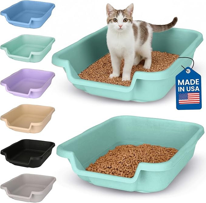 KittyGoHere Senior Cat Litter Box, Small Litter pan, Open Top Low Entrance Kitty Litter Box, Lightweight Low Entry Litters Box, Durable, Made in USA (2 Pack - Apple Green)