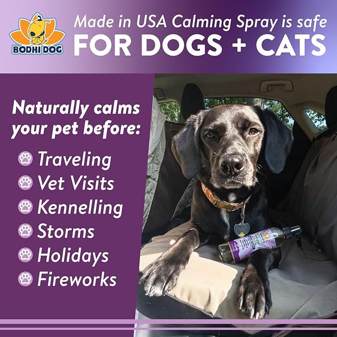 Calm Mist Spray – Lavender Anxiety Relief + Travel-Ready