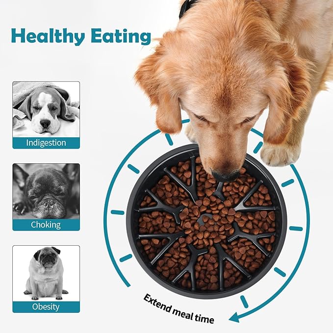 3-in-1 Funny Car Tire Dog Feeder - Non-Slip Slow Feeder & Stainless Steel Water Bowl for Wet, Raw Food & Water, Multifunctional for Small, Medium & Large Dogs，Feeding Vessels for Pets