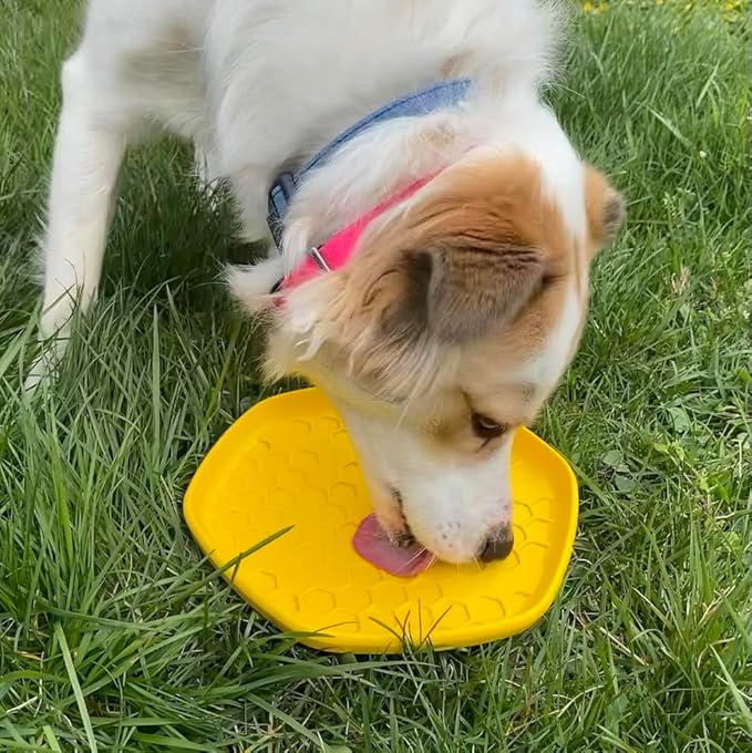 PROJECT HIVE ·PET COMPANY· - Hive Frisbee for Dogs - Dog disc - Great for Fetch - Includes a Lick mat on Back - Floats in Water, Smooth Glide - Made in The USA