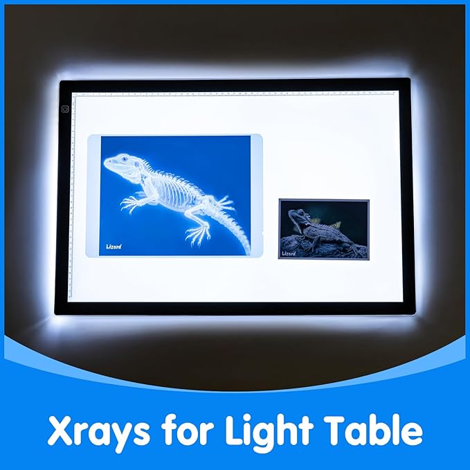 Pet Series Animal Xrays for Kids - Pet X-Rays Set, Light Table Manipulatives, Veterinarian Play Set & Dramatic Play Vet Clinic