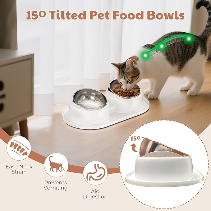 Cat Bowls, Tilted Cat Food and Water Bowl Set Anti Vomiting, Stainless Steel Dog Food Bowl with Base, Non-Slip Pet Feeder Bowls for Puppy Small Dogs Cats
