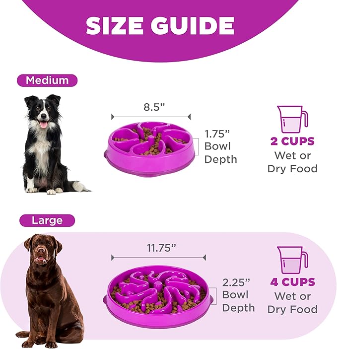 Outward Hound Slow Feeder Dog Bowl – Prevents Bloating & Fast Eating – Large 4 Cup Purple Flower