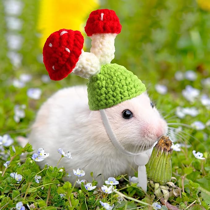 Kajaia 10 Pcs Hamster Hat Small Animals Cute Tiny Hat Mini Hand Knitted Hats for Snakes Pets Bearded Dragon Guinea Pig Bunny Costume Accessories Easter Holiday Parties(Fresh Style)