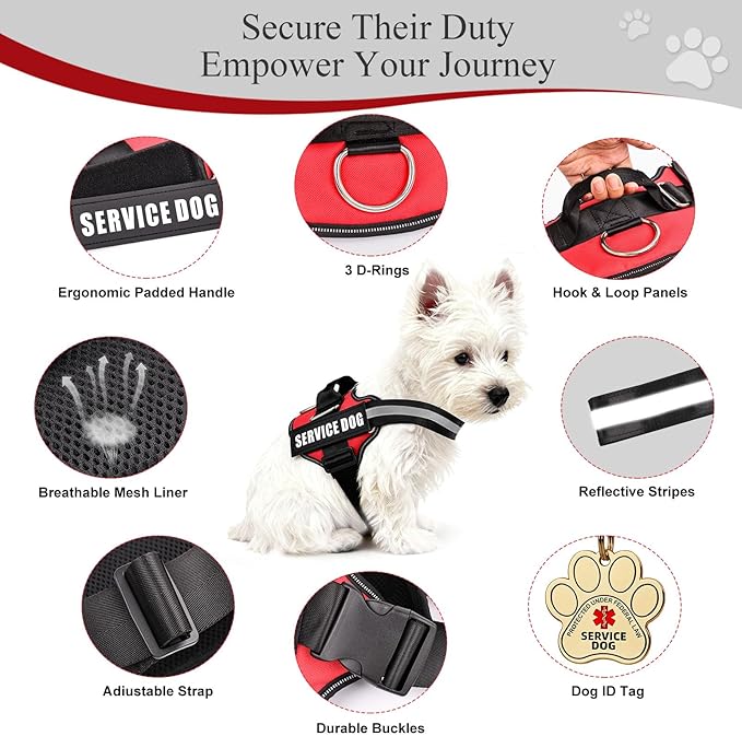 Service Dog Vest, ID Tag + 50 ADA Information Cards, Service Dog Harness w Patch in Sizes X Small to XX Large, Ruggedized Metal Tag, Service Animal Information Cards, ESA Accessory Set Medium