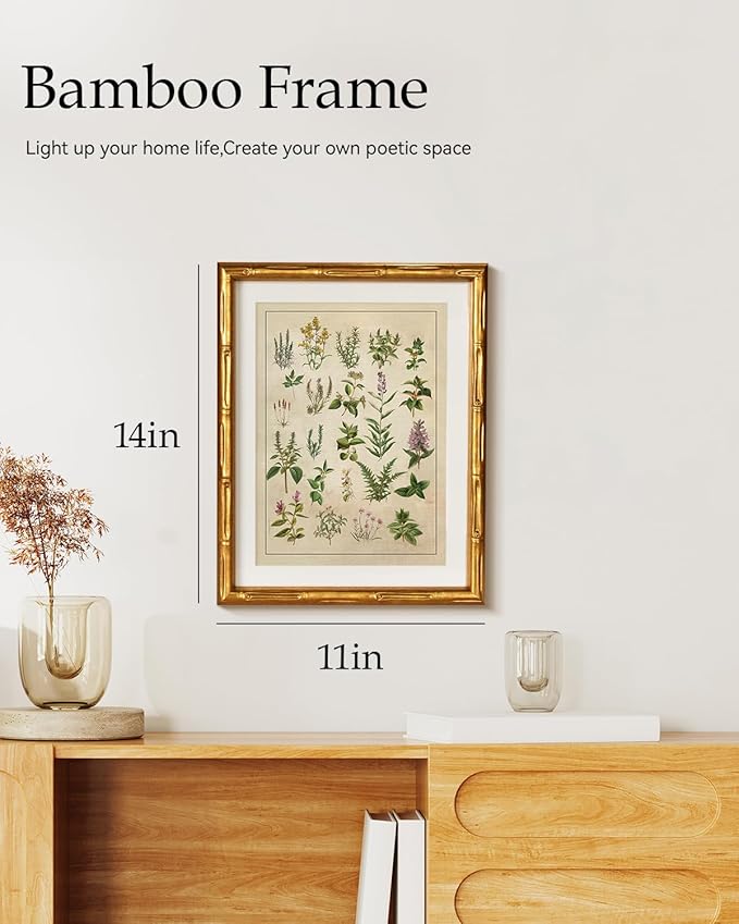 HUARCEY Vintage Botanical Chart Wall Art Gold Framed 11x14, Antique Style Herb Plant Illustration Canvas Print, Classic Apothecary Natural History Artwork Kitchen Study Farmhouse Office Home Decor