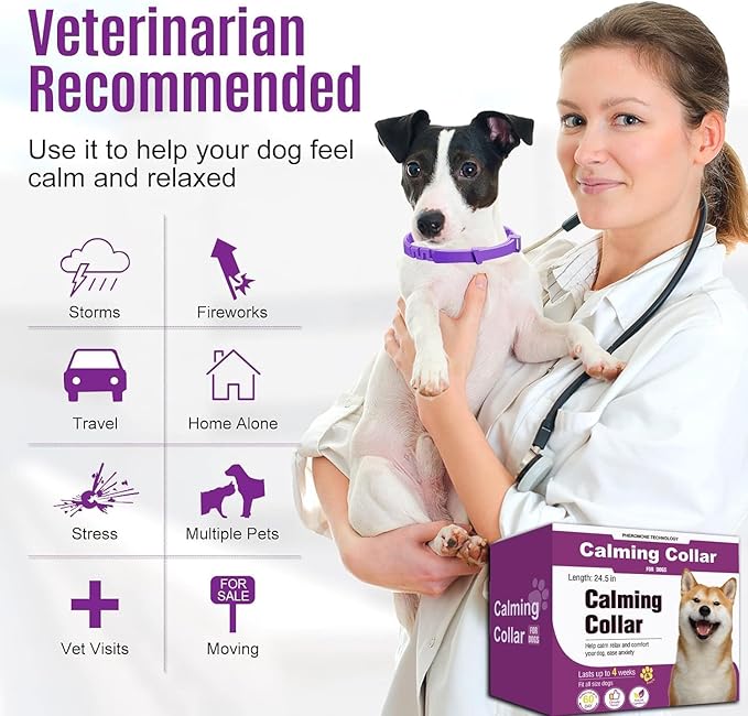 Calm Collar – 60-Day Pheromone Relief + Stress-Free Dog
