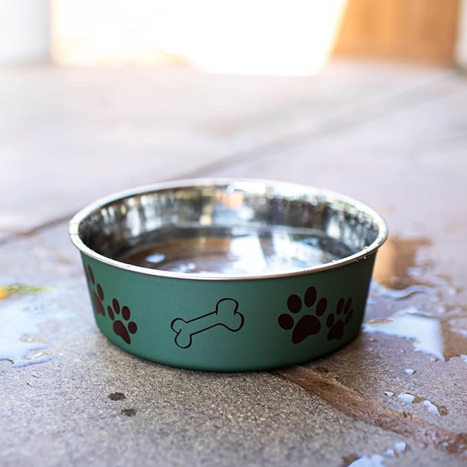 Loving Pets Bella Dog Bowls- Stainless Steel Dog & Cat Bowls - Spill Proof Dog Food Bowl, Cat Bowl, Puppy Essentials & Pet Supplies Great for Home & Travel (Small 10-20 lbs, Artichoke)