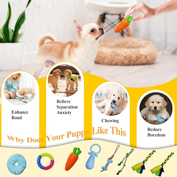 Puppy Play Gym with 8 Hanging Toys, Jungle Gym for Small Dogs & Puppies Indoor Enrichment Playground Interactive Training Activity Center for Teething Chewing,Entertainment Roof Shape