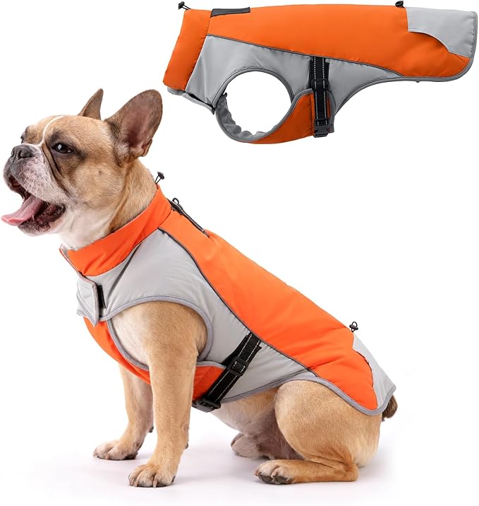 Warm Dog Cold Weather Coats - Waterproof Dog Winter Clothes with Reflective Straps, Adjustable Buckle & Leash Hole for Poodle, Dachshund,Border Terrier, Yorkshire Terrier，Orange & Gray M