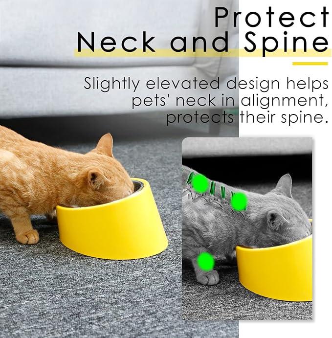SuperDesign Mess Free 15° Slanted Bowl for Dogs and Cats, Tilted Angle Bulldog Bowl Dog Feeder, Non-Skid & Non-Spill, Easier to Reach Food L/2 Cup Bright Yellow