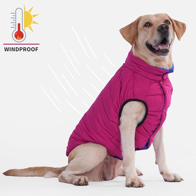 LovinPet Reversible Dog Puffer Coat for Medium & Large Dogs, Down‑Insulated Winter Jacket, Water‑Resistant & Wind‑Resistant, Anti‑Static, Dual-Sided Blue & Red for Cold Weather, L