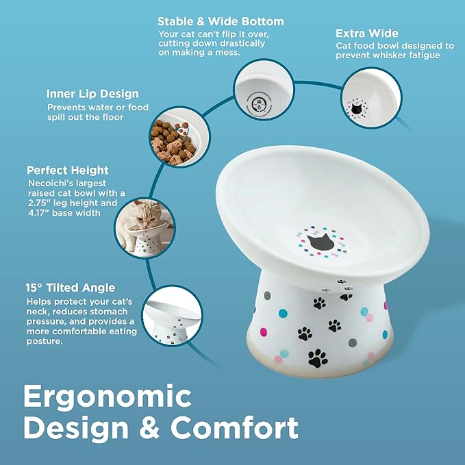 Necoichi Raised Cat Food Bowl – Ceramic Elevated 15° Tilted Cat Bowl for Whisker & Neck Fatigue, Dishwasher Microwave Safe – Non-Slip & Anti Vomiting Ergonomic Design (Colorful Dots, Regular Tilted)