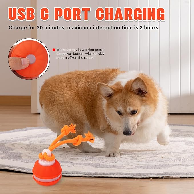 Interactive Dog Toys, Squeaky Dog Toy with Motion Activated, Active Rolling Ball, USB Rechargeable Dog Toys for Small Medium Large Dogs, Puppy Training Balls Boredom Relief