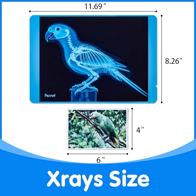 Pet Series Animal Xrays for Kids - Pet X-Rays Set, Light Table Manipulatives, Veterinarian Play Set & Dramatic Play Vet Clinic
