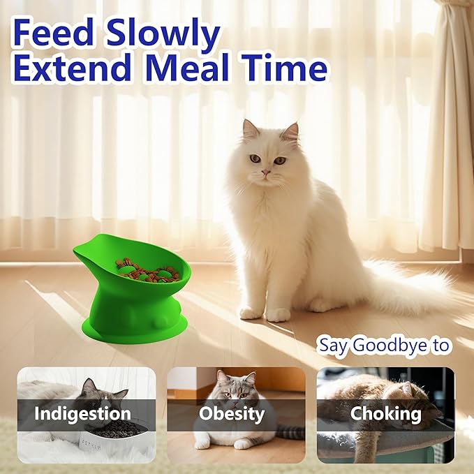 Slow Feed Cat Bowl, Elevated Cat Food Dish with Tilted Design, Dual-Use for Dry and Wet Food, Anti-Vomit, Anti-Choking, Easy to Clean