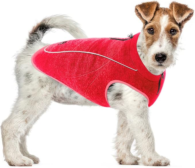 Insulated Fleece Sweater for Dogs | Lightweight Warm Dog Vest | Zipper Port for Harness | Cold Weather Winter Jacket | Rain Snow Repellant Coat | Adjustable for Small Medium Large Girl Dogs (Red/XS)