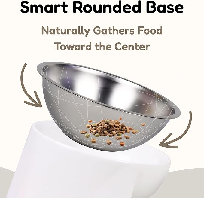 Tilted Dog Bowl for Flat-Faced & Senior Dogs, 15° Slanted Stainless Steel Dog Food Bowl, Elevated Pet Feeder for Small & Medium Dogs, Comfortable Eating Design (White, M (420 ML / 2 Cups))