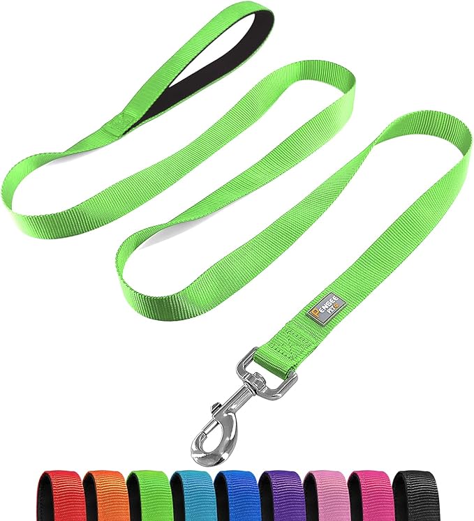 Basic Dog Leashes 6 FT Padded Handle Nylon Dogs Leashes for Large Dogs Green