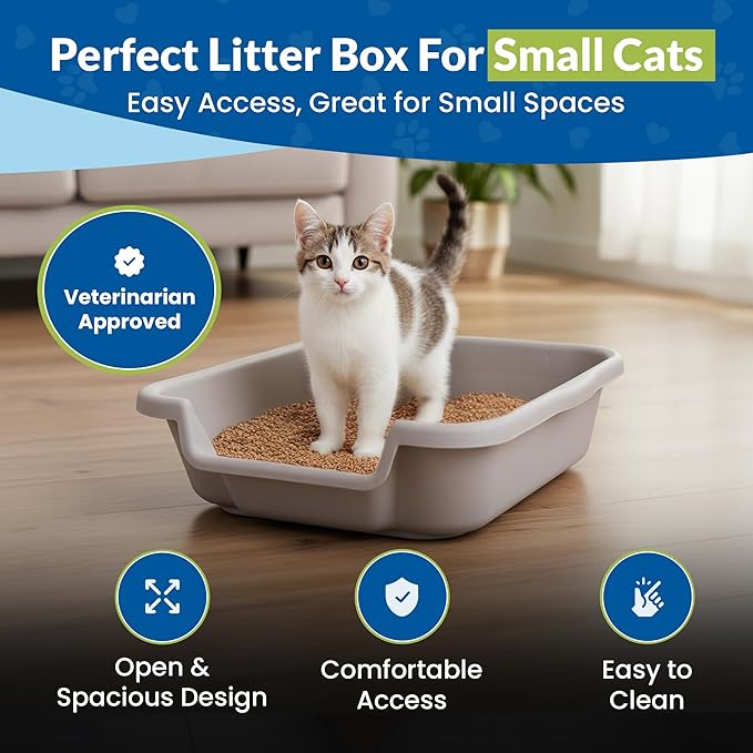 KittyGoHere Senior Cat Litter Box, Small Litter pan with Long-Handle Jumbo Scoop, Open Top Low Entrance Kitty Litters Box, Lightweight Low Entry Litter Box, Durable, Made in USA (2 Pack - Misty Gray)