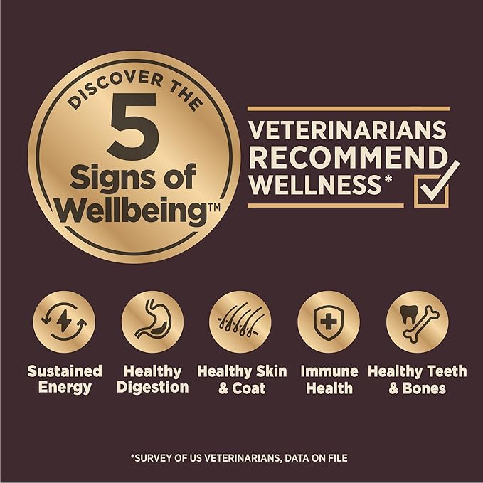 Wellness CORE Digestive Health Dry Dog Food, Small Breed, Wholesome Grains, Natural, Recipe for Dogs with Sensitive Stomachs, Chicken, (4-Pound Bag)