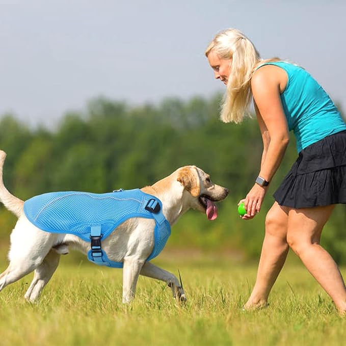 Kuoser Dog Cooling Vest for Large Dogs, Lightweight Doggie Cooler Jacket Breathable Mesh Pet Cooling Shirts Reflective Puppy Cool Harness for Beach, Hiking, Walking Blue XL