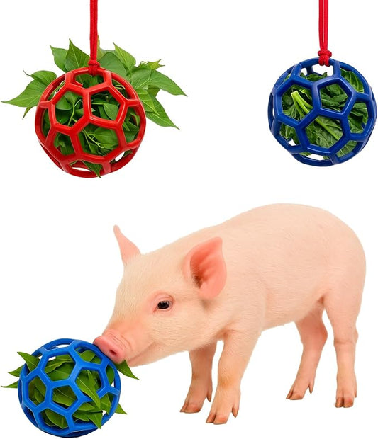 2Pcs Pig Enrichment Toys, Treat Ball Toy for Mini Pigs and Farm, Hanging Chew Ball Enrichment Toy with Rope for Pigs to Play with