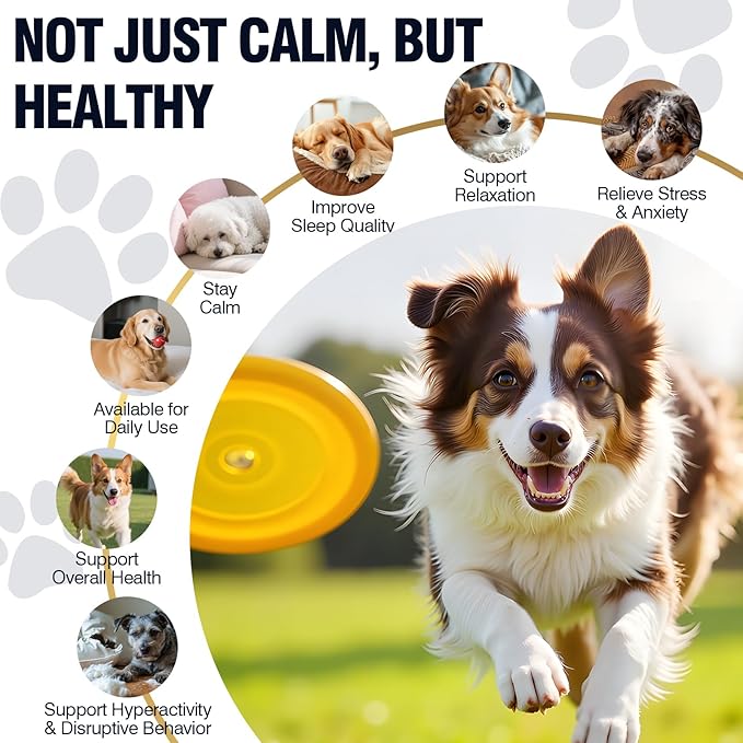 Calming Chews for Dogs 200 ct Hemp Dog Calming Chews - Anxiety and Stress Relief Treats Melatonin Bites Sleep Aid for Small/Medium/Large Dogs Calm Dog - Separation, Fireworks, Thunder, Barking,Orange