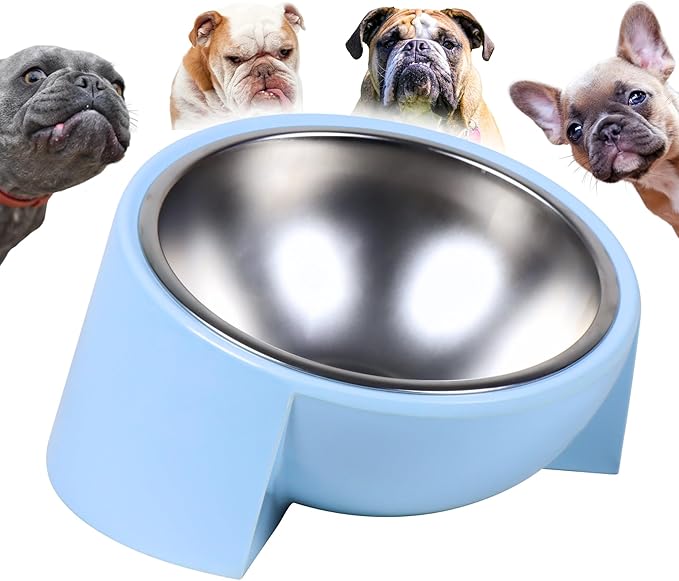 Tilted Dog Bowl for Flat-Faced & Senior Dogs, 15° Slanted Stainless Steel Dog Food Bowl, Elevated Pet Feeder for Small & Medium Dogs, Comfortable Eating Design (Light Blue, M (420 ML / 1.5 Cups))