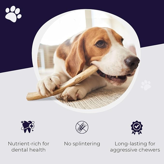 Devil Dog Pet Co - Elk Antler for Dogs Small - Long Lasting Dog Chew for Aggressive Chewers, Toy & Small Breeds - Naturally Shed Grade A Rocky Mountain Elk, Anxiety & Boredom Relief (Up to 20 lbs)