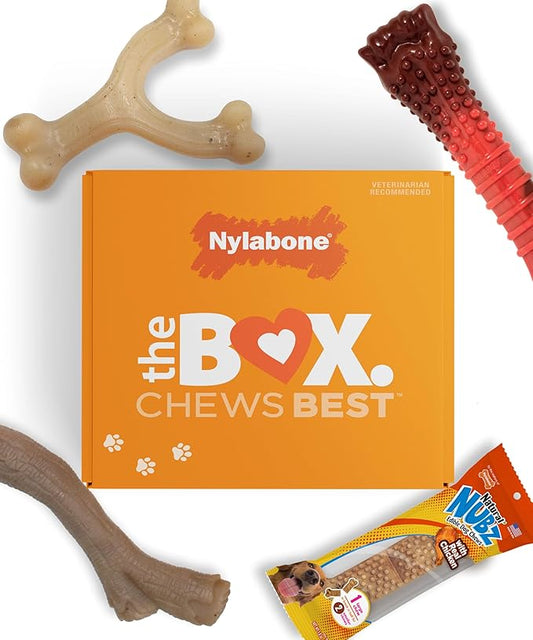Nylabone Dog Gift Box, Includes 3 Strong Chew Toys and 1 Natural Treat, Gifts for Dogs, Large - Up to 50 lbs, 4 Pack
