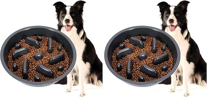 JASGOOD Largr Dog Slow Feeder Bowl - Reduce Slip Puzzle Bowl for Elevated Diners - Dark Gray, Fit Opening 8.9"-9.25" (Pack of 2)