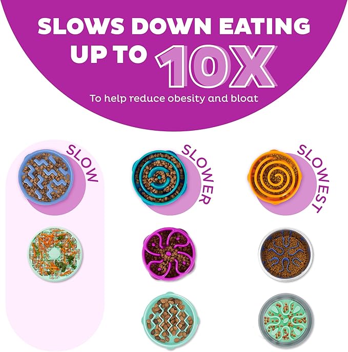 Outward Hound Fun Feeder Slo Bowl Slow Feeder Dog Bowl Bundle, Large/Regular and Medium/Mini, Purple and Turquoise