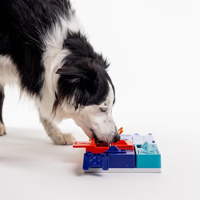 Genius Set Pawzler - Modular Dog Puzzle | Pawzler Interactive Dog Treat Puzzles for Canine Enrichment