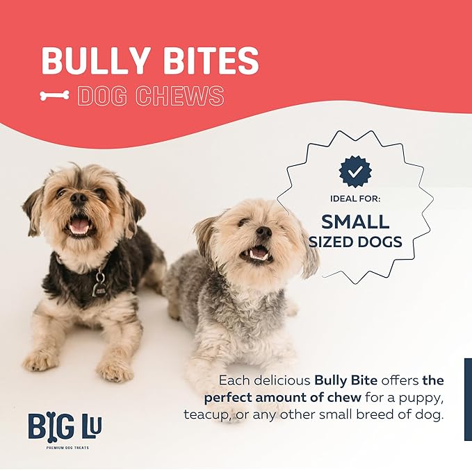 Big Lu - 2-4” Bully and Braided Sticks Variety Bag - 1 lb of 100% Grass-Fed Beef Chews for Small and Medium Dogs, Natural, Fully Digestible, Long-Lasting Treats