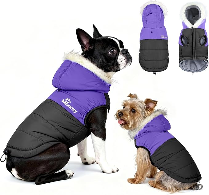 Dog Winter Coat with Hood, Fleece Lined Waterproof Dog Jacket,Warm Snowsuit for Small Medium Dog